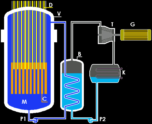 Schema di un reattore PWR